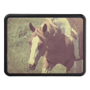 Pråligt Skydd För Dragkrok