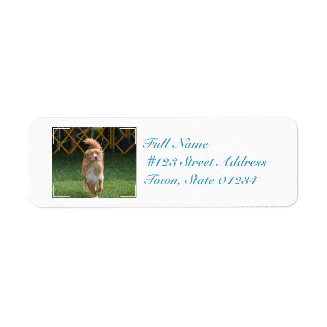 Prancing Nova Scotia Retriever Returadress Etikett (Framsidan)