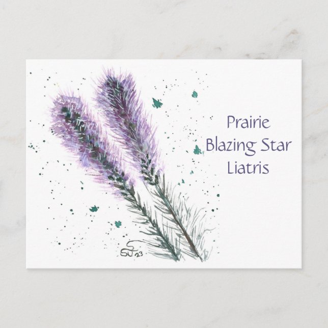 Prärie Blazing Star vykort  (Framsida)