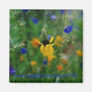 Prärie Coneflower Magnet