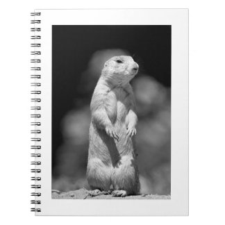 Prärie Dog#1-Notebook Anteckningsbok