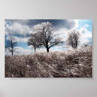Prarie ice poster