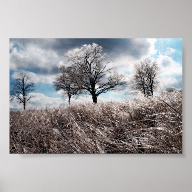 Prarie ice poster (Framsidan)