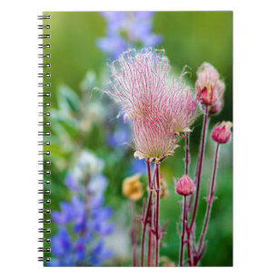 Prärie Rökevildblommor i Aspen Grove 2 Anteckningsbok Med Spiral