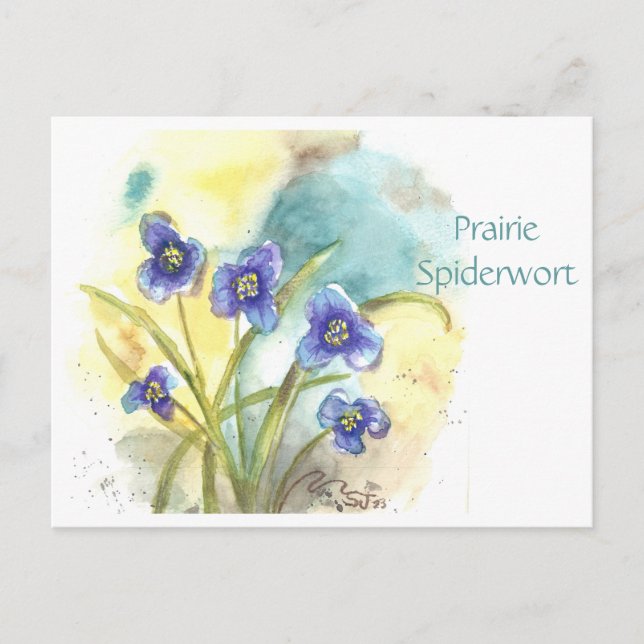 Prärie Tradescantia vykort (Framsida)