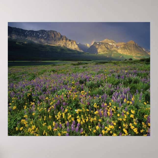 Prärieblommor fyller äng nära sjö poster (Framsidan)