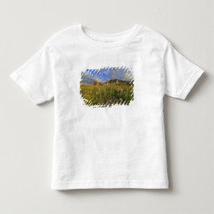 Prärieblommor vid Windy Creek i Many T-shirt