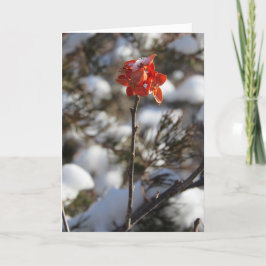 "Prärieblomster" Julkort Kort