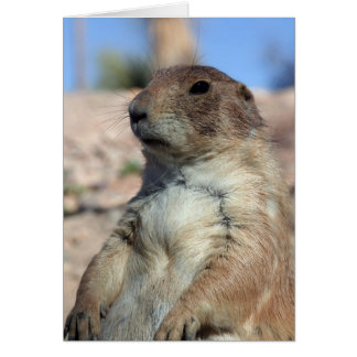 "Präriefölje" kort.  Skräddarsy mig! Hälsningskort