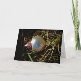 "Prärieglädje" julkort Kort