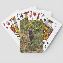 Präriehund Casinokort