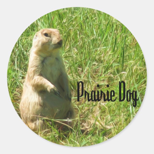 Präriehund Runt Klistermärke (Framsida)