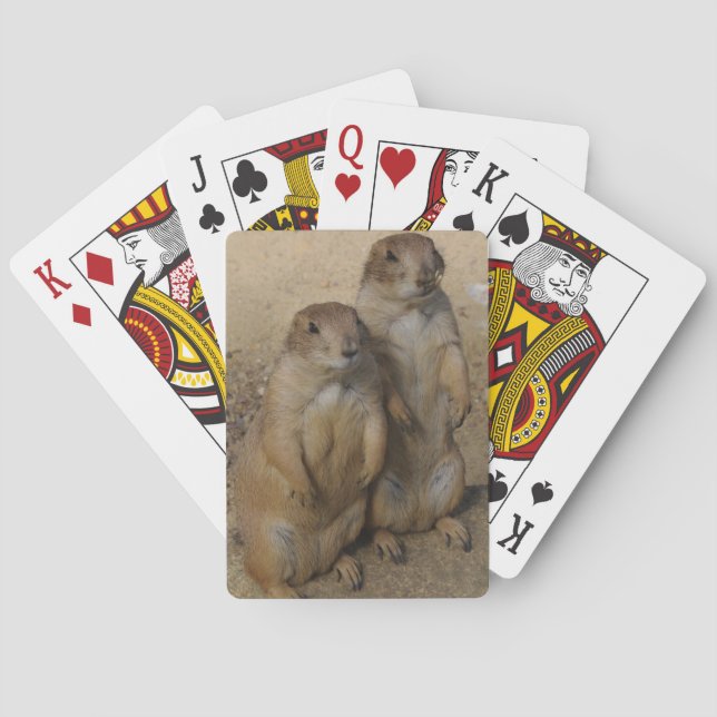 Präriehund som leker kortet casinokort (Baksidan)