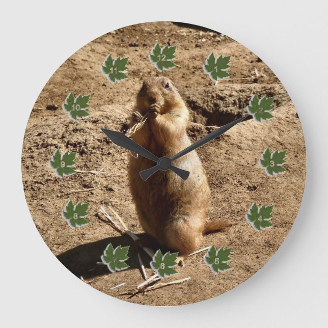 Präriehund Stor Klocka (Framsida)