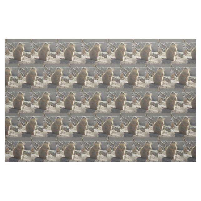 Präriehund Tyg (Fat Quarter)