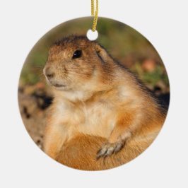 präriehunden är full julgransprydnad keramik