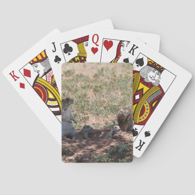 Präriehundfamilj Casinokort (Baksidan)