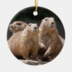 Präriehundfamilj Julgransprydnad Keramik