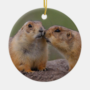präriehundkyss julgransprydnad keramik