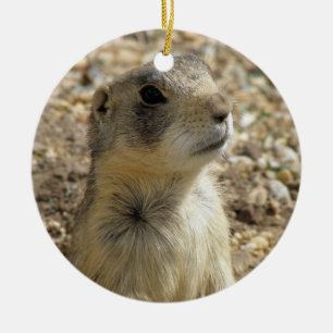 Präriehundprydnad Julgransprydnad Keramik
