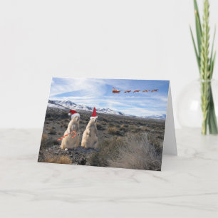 PräriehundSanta kort