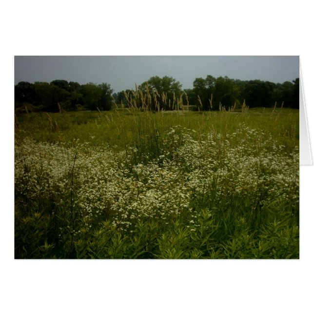 Prärien blommar kortet hälsningskort (Framsidan Horizontal)