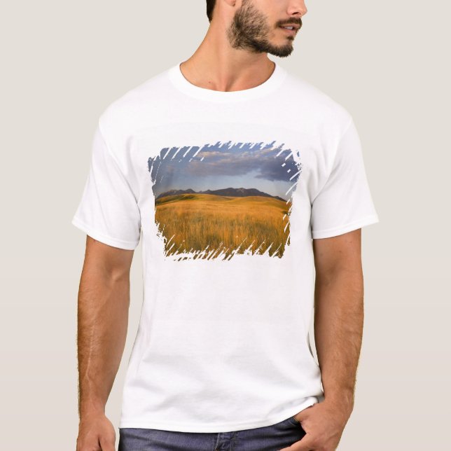 Prärieslätter i förbergen till tee shirt (Framsida)