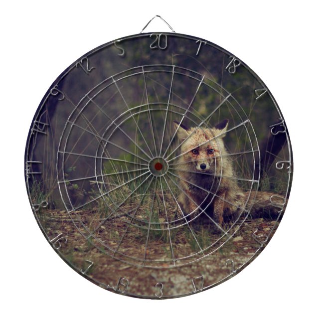 Prärievarg Darttavla (Framsidan)