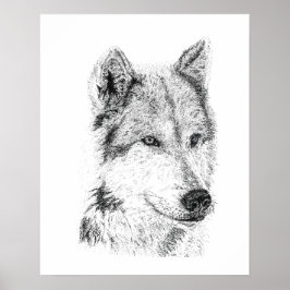 Prärievarg Handritad Schakal Coyote Konstverk Poster