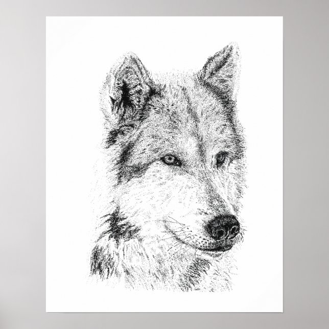 Prärievarg Handritad Schakal Coyote Konstverk Poster (Framsidan)