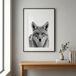 Prärievarg huvud porträtt konst Svart vitt Poster
