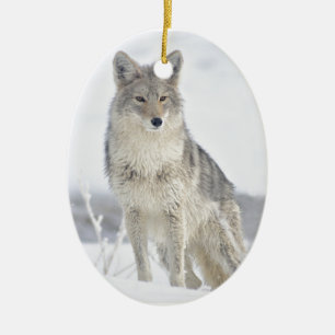Prärievarg i snö på Yellowstone Julgransprydnad Keramik