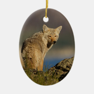 prärievarg julgransprydnad keramik