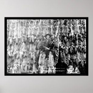 Prärievargjägare Amid över 60 fällar 1913 Poster
