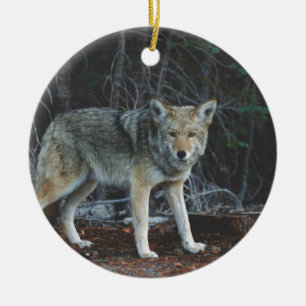 Prärievargjakt Julgransprydnad Keramik