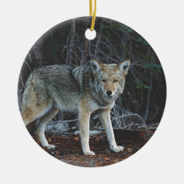 Prärievargjakt Julgransprydnad Keramik (Framsidan)