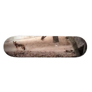 PRÄRIEVARGSkateboard Skateboard Bräda 20 Cm