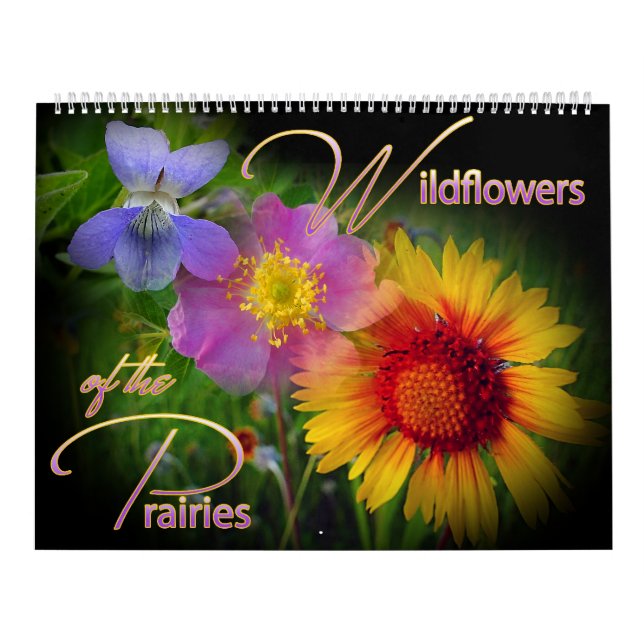 Prärievildblommakalender Kalender (Omslag)