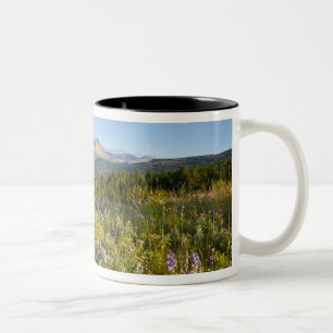 Prärievildblommor och Lower Two Medicine Lake Två-Tonad Mugg
