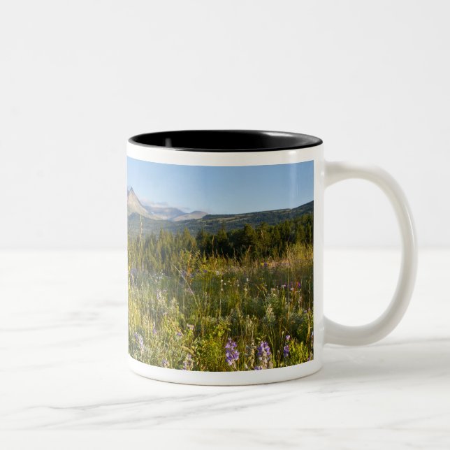 Prärievildblommor och Lower Two Medicine Lake Två-Tonad Mugg (Höger)