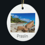 Praslin Seychelles Island Anse Lazio Beach Gift Julgransprydnad Keramik<br><div class="desc">Praslin Seychellerna Anse Lazio-stranddesign för semester. Vintagen i Praslin på Seychellerna vid Indiska oceanen i souvenir för resor på La Digue och Anse Lazio. Praslin-strandkonst med kokokosnöt för Mahe och helgdag och ryggsäckar. Praslin Anse Lazio-stranden på Seychellerna i Retro-souvenir i Indiska oceanen. Seychellernas utformning för ryggsäckar och resor till Mahe...</div>