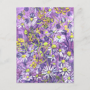 Prästkragar Polka Dot Sommarblommor Blommig Konst Vykort