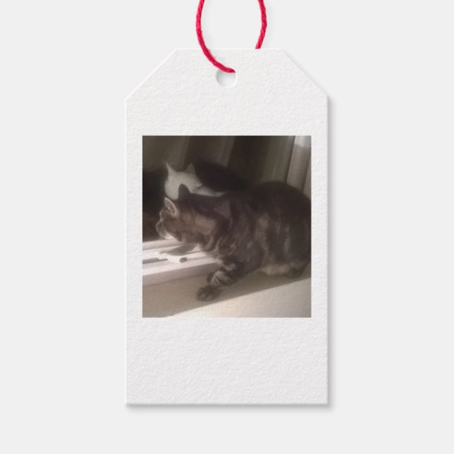 Prata inte med Dave Gift Märkres Presentetikett (Framsidan)