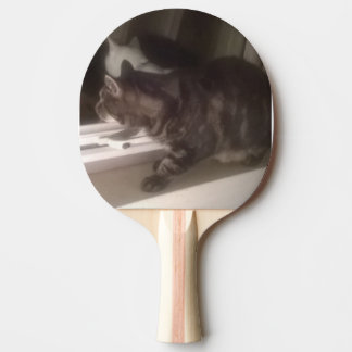 Prata inte med Dave Ping Pong Paddle Pingisracket