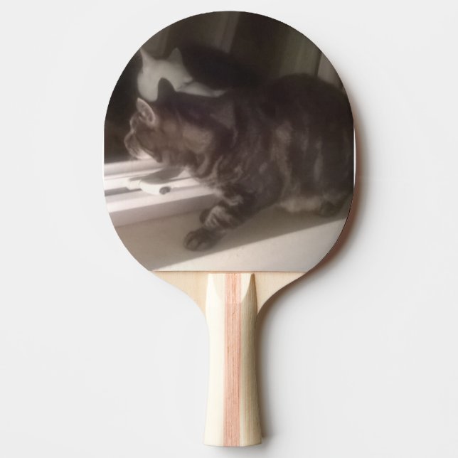 Prata inte med Dave Ping Pong Paddle Pingisracket (Framsidan)