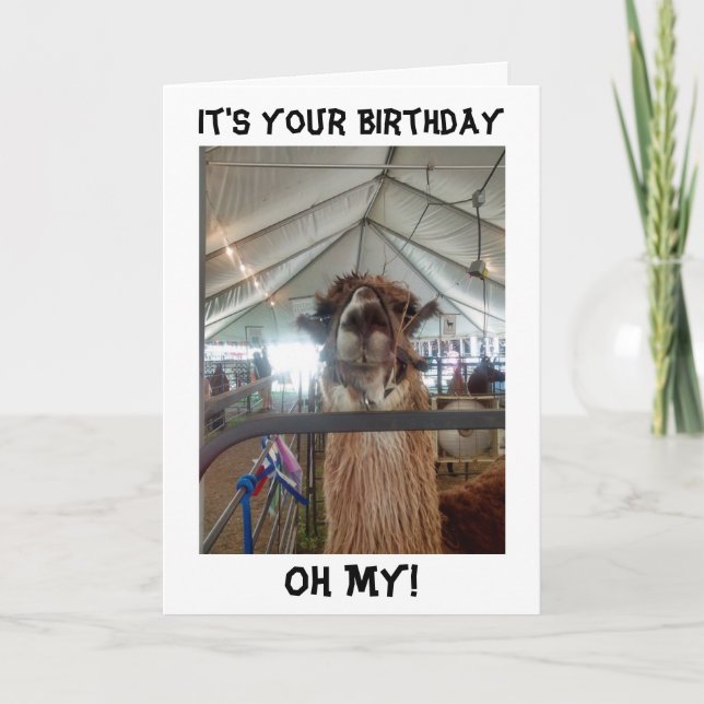 PRATA LLAMA BIRTHDAY-KORT FÅ UT MIG!!! KORT (Framsida)