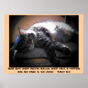 Prata med dig senare med Mary Bly citat Poster