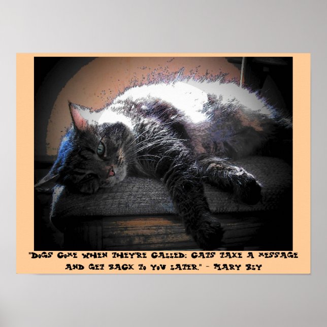 Prata med dig senare med Mary Bly citat Poster (Framsidan)