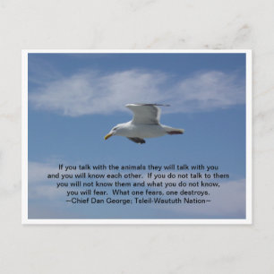 Prata med djuren vykort