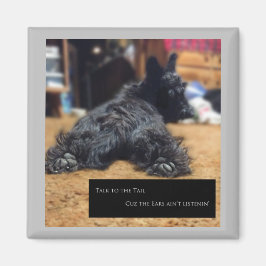 Prata med Svan Magnet